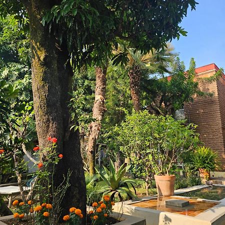 Casa Limon Malinalco Hotell Exteriör bild