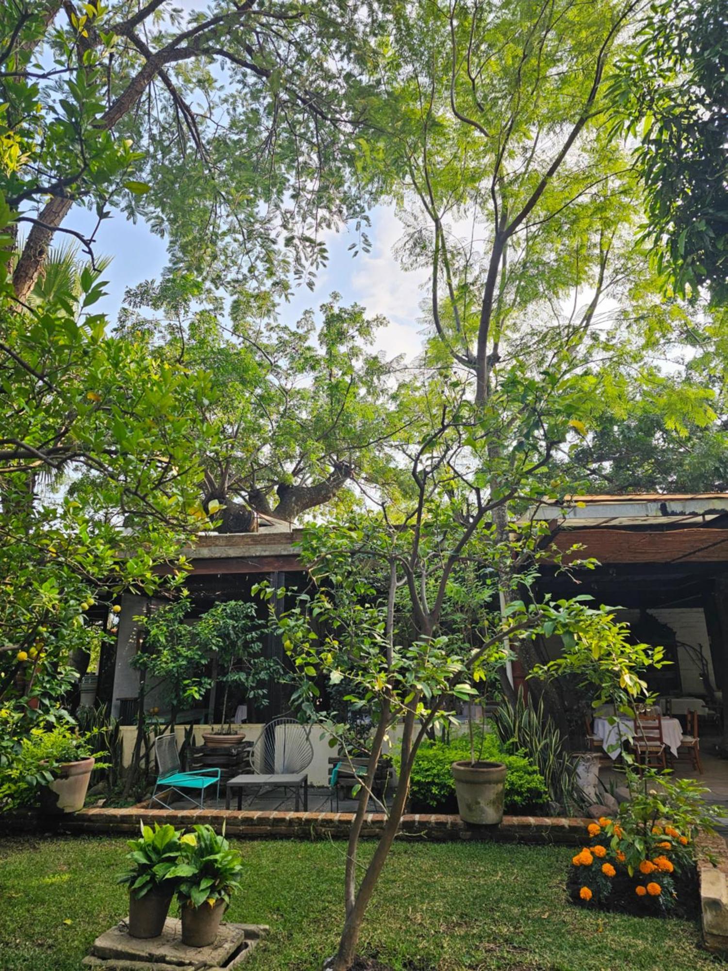 Casa Limon Malinalco Hotell Exteriör bild